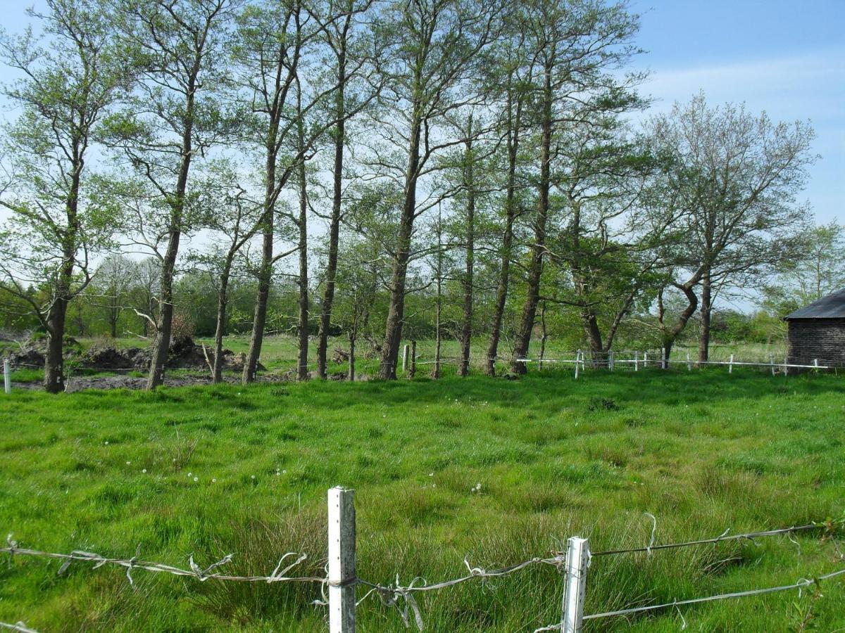 Ferienhof Schlachter Berumbur Екстериор снимка